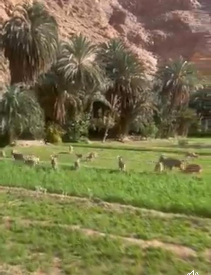 Riad Dar Ahlam Aït Baha المظهر الخارجي الصورة